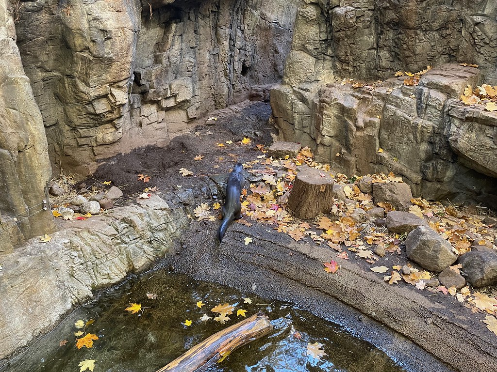 Érablière des Laurentides