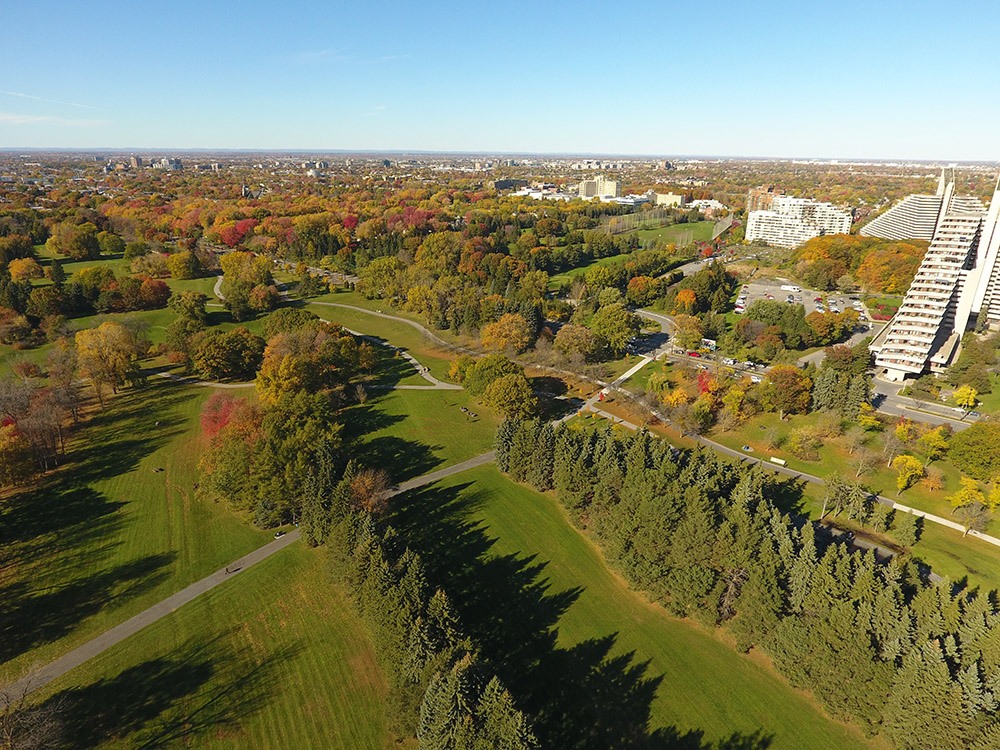 Maisonneuve Park