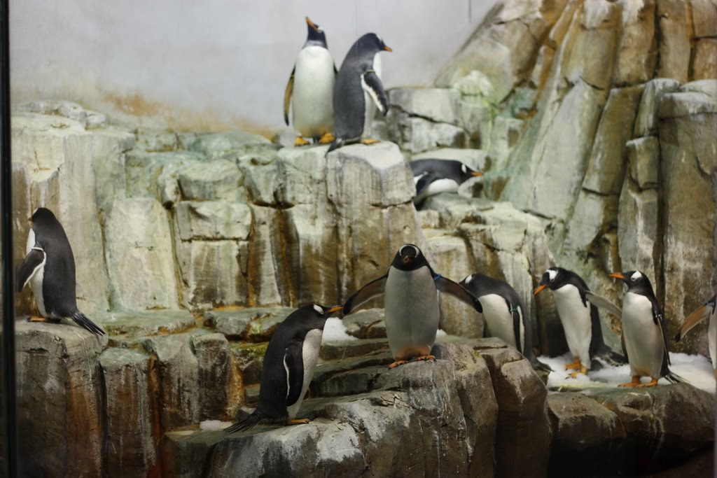Votre expérience à Visites et billets pour le Biodôme de Montréal
