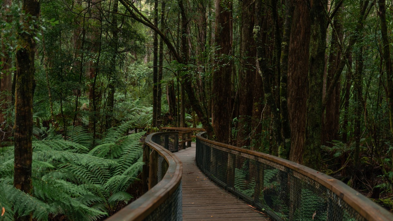 Heritage Landing Boardwalk
