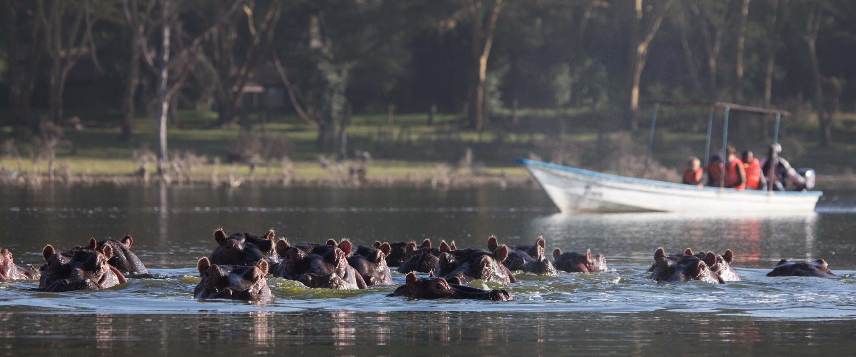 Lake Naivasha