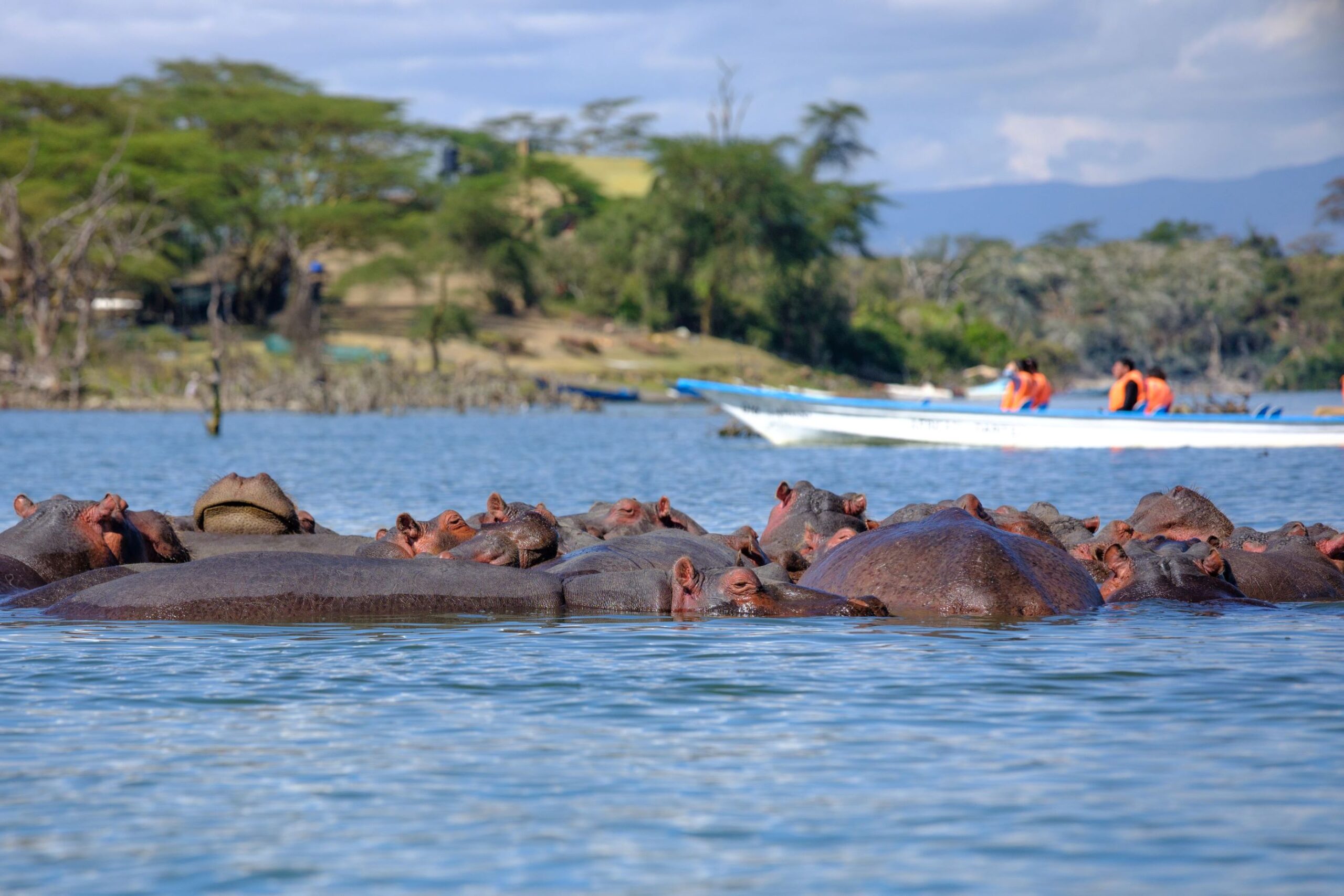 Lago Naivasha