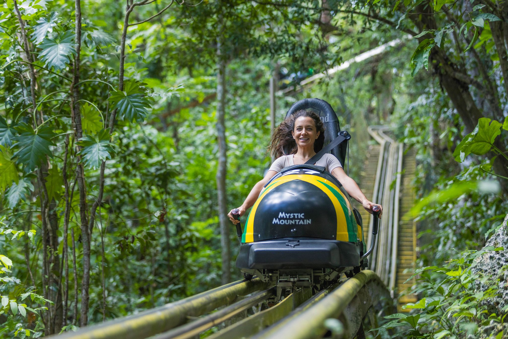 Descente en bobsleigh