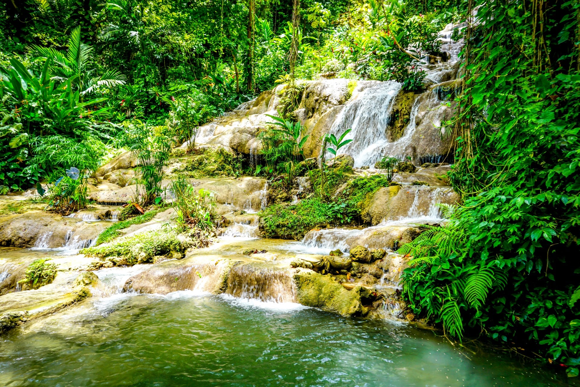 Konoko Falls & Park