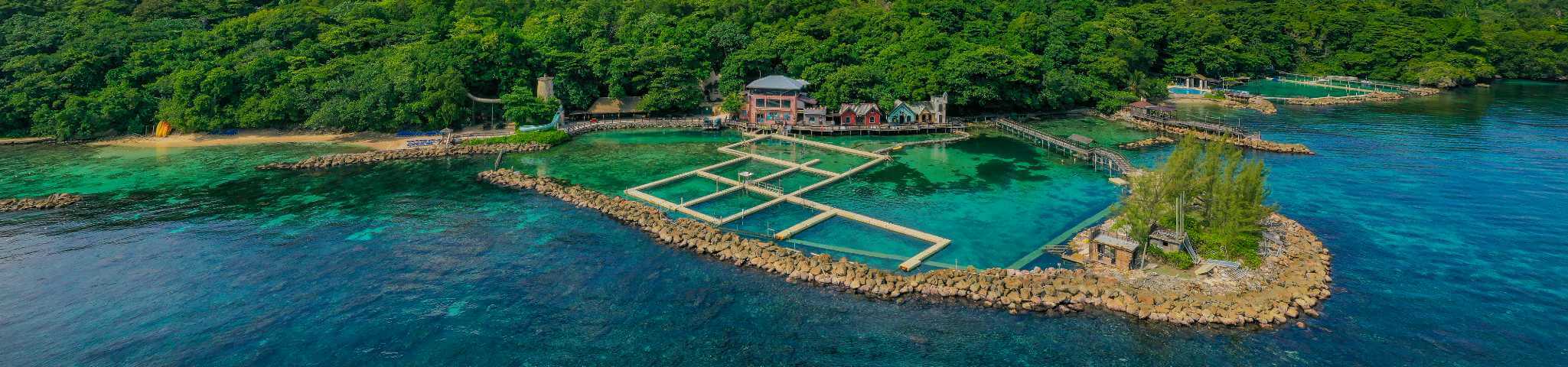 Dolphin Cove Ocho Rios