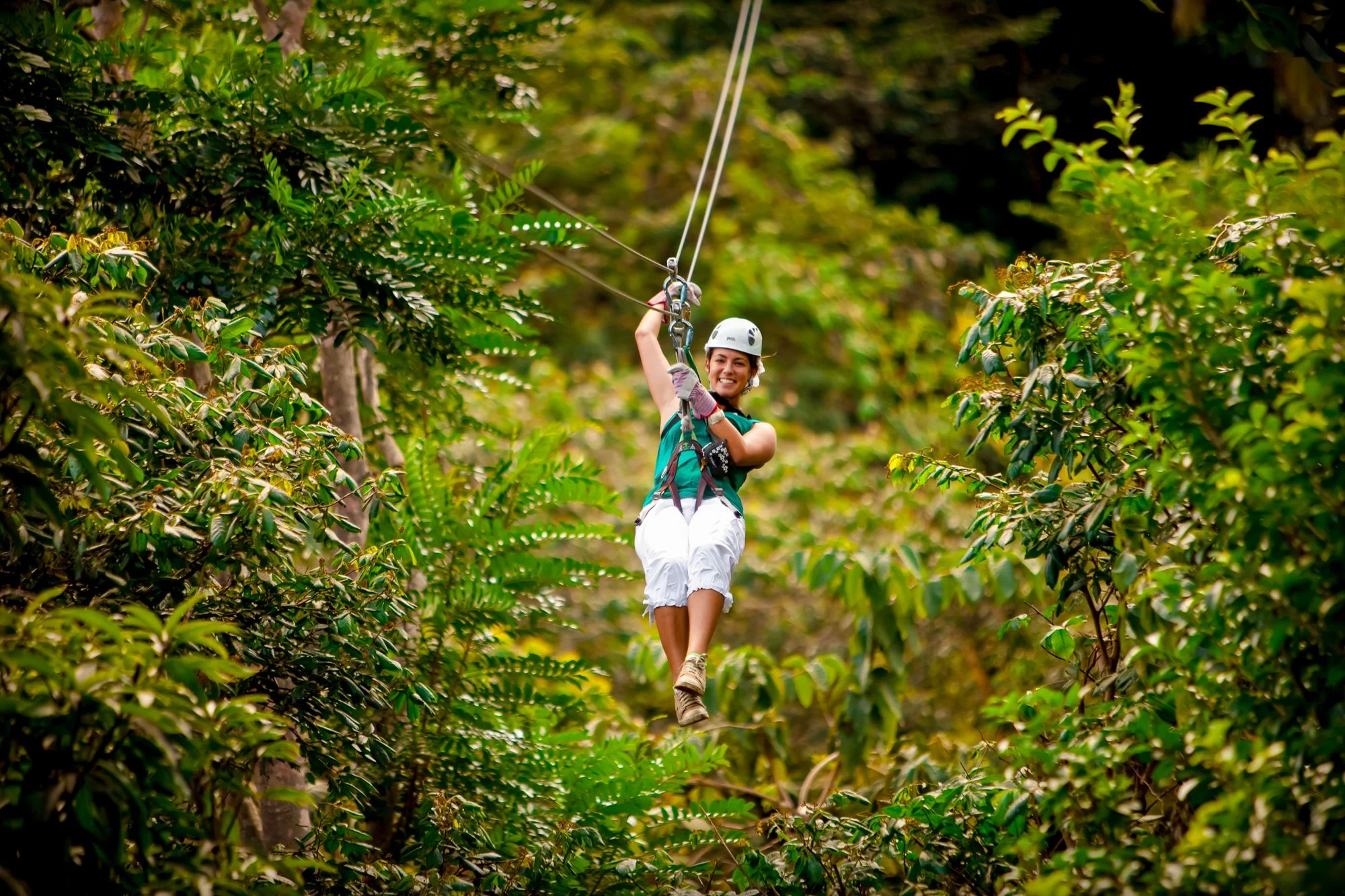 Raggamuffin Coaster or Zipline