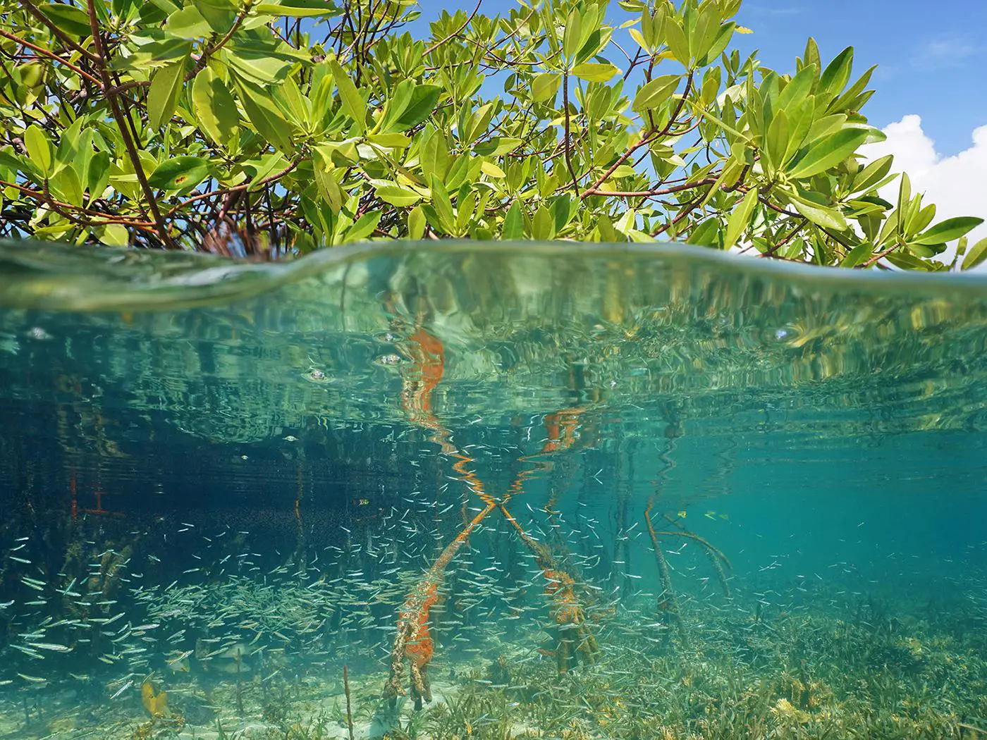 Chwaka Bay
