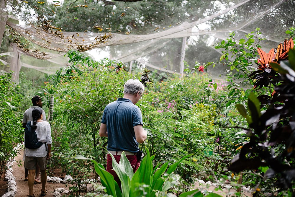 Besuch des Zanzibar Butterfly Centre