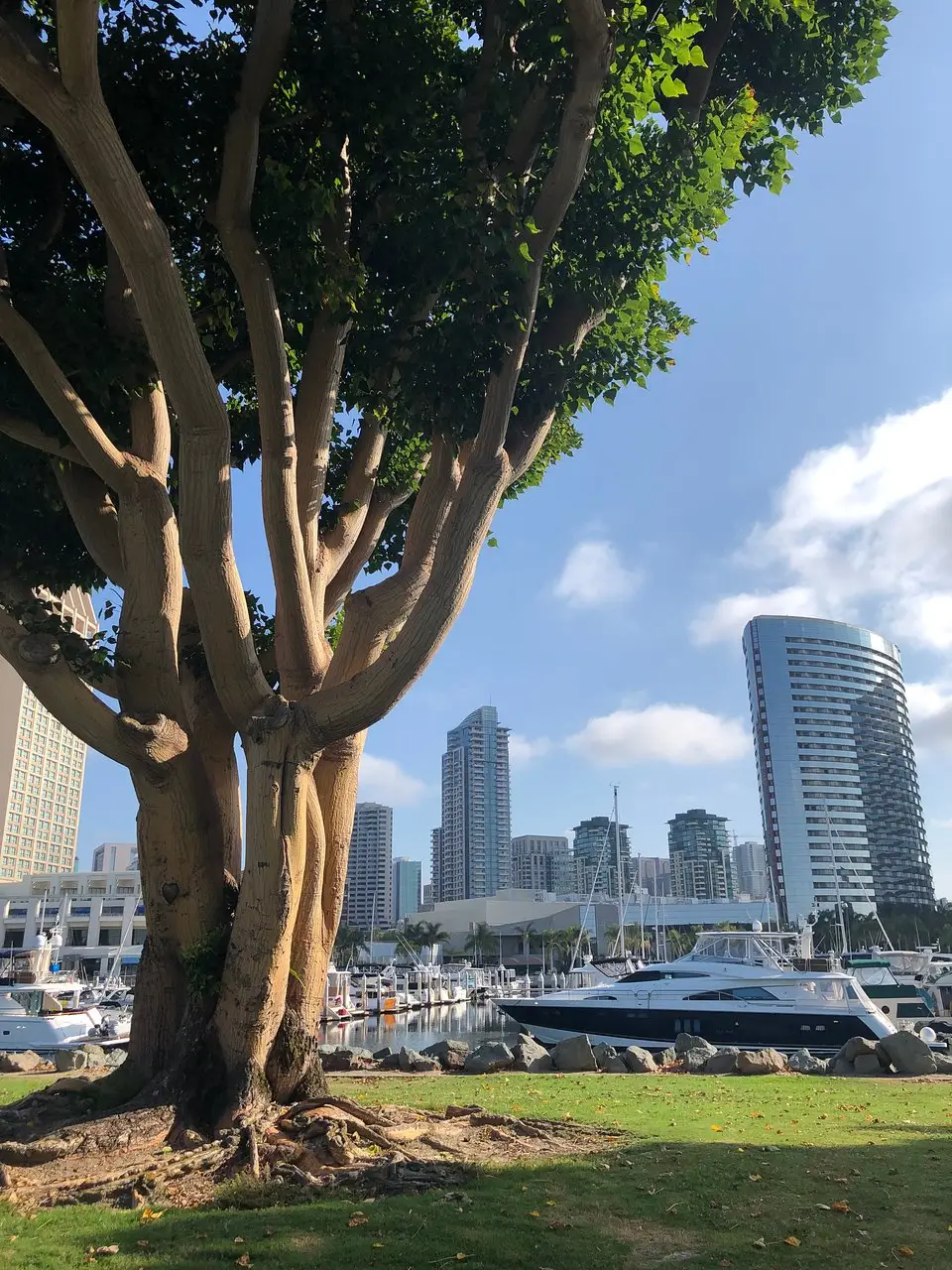 Embarcadero Marina Park North
