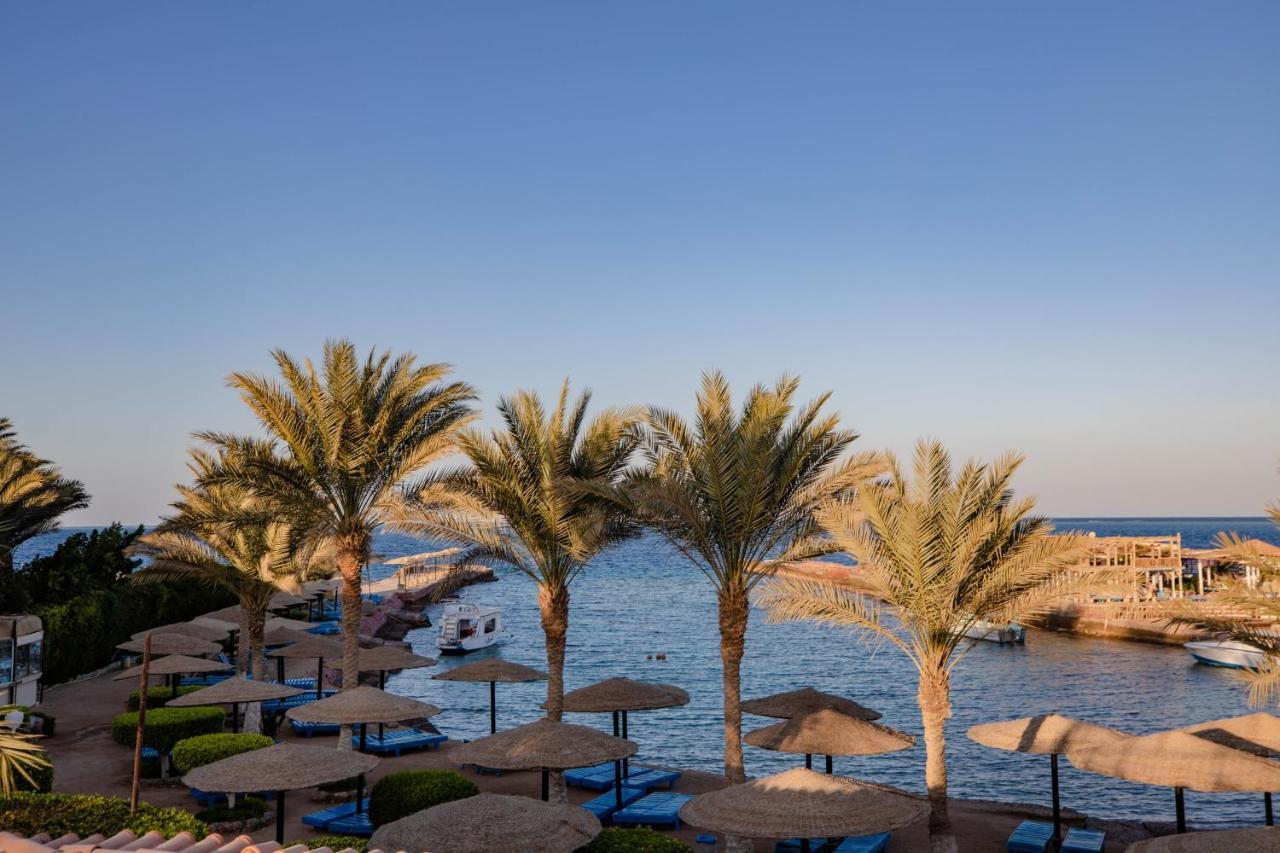 Sand Beach Resort