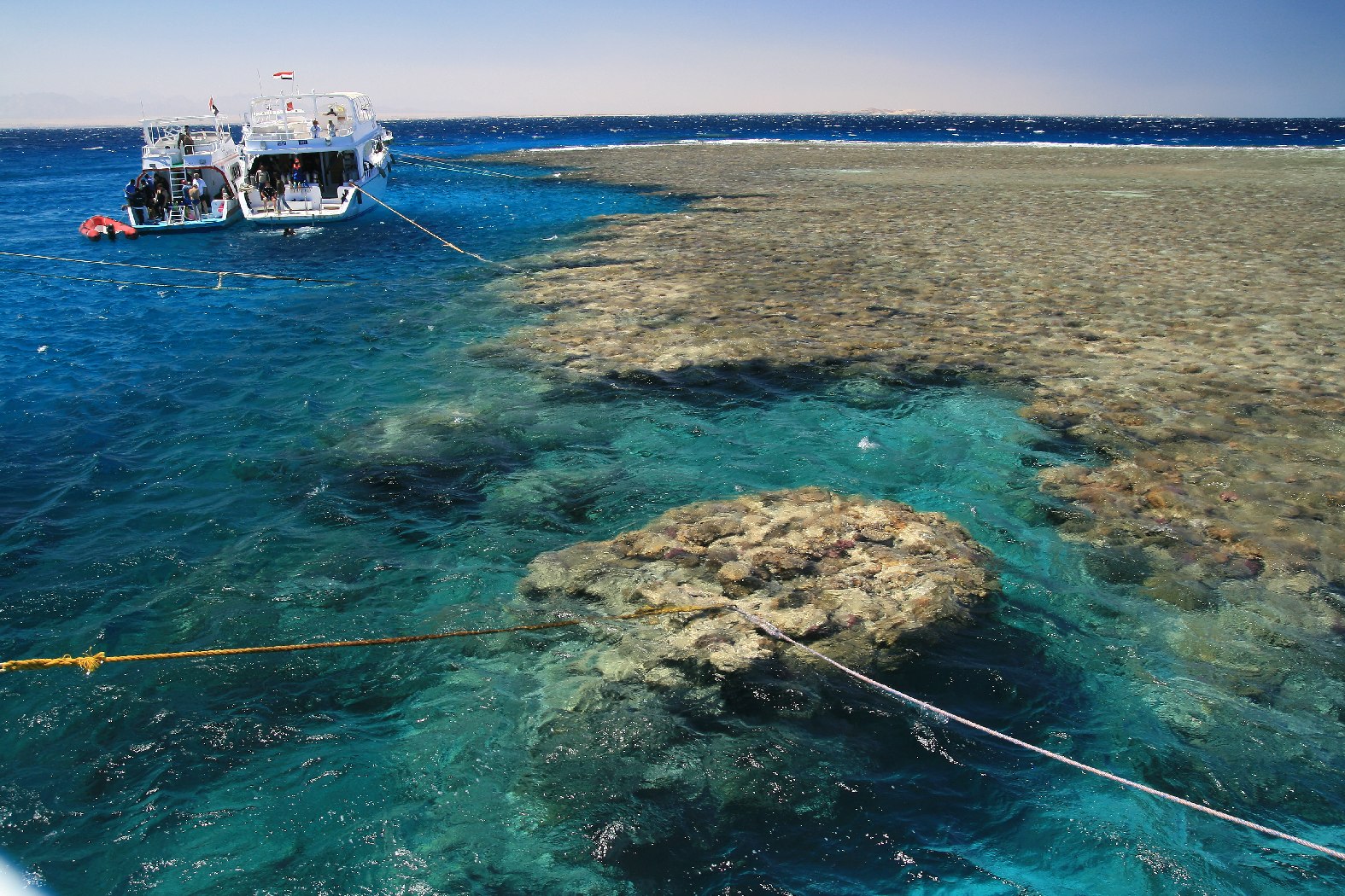 Abu Ramada Island (Aquarium)