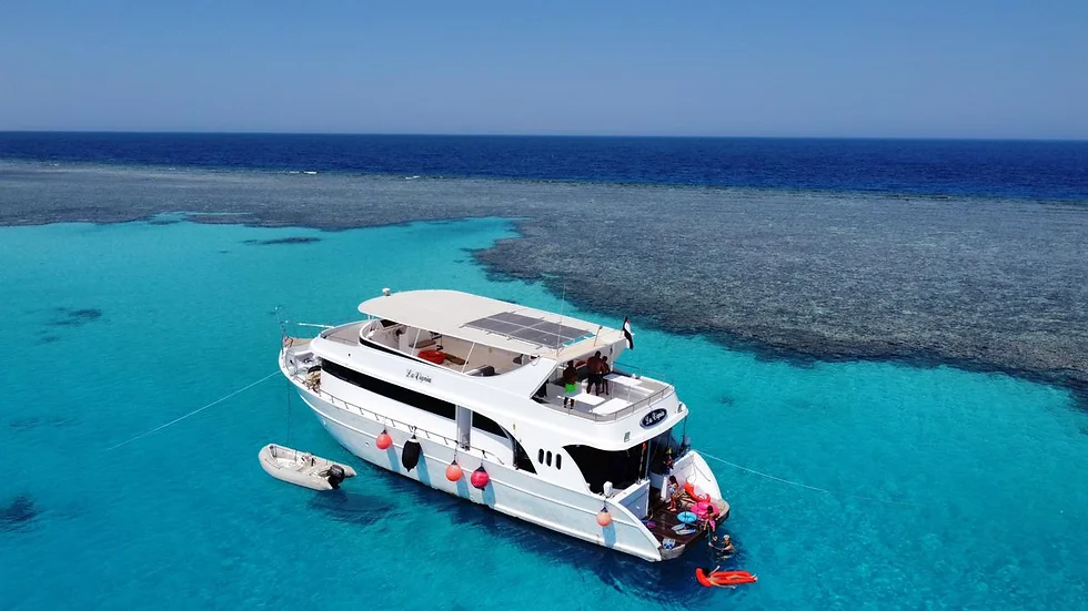 Your experience at Paradise Island Hurghada Tours & Tickets