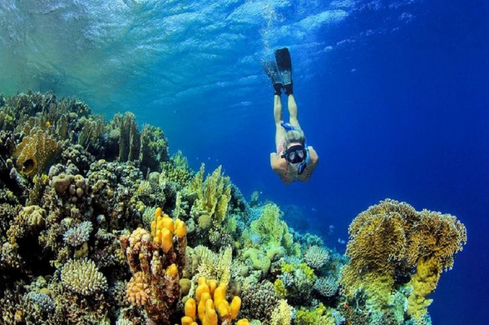 Local de Snorkel Banana Reef