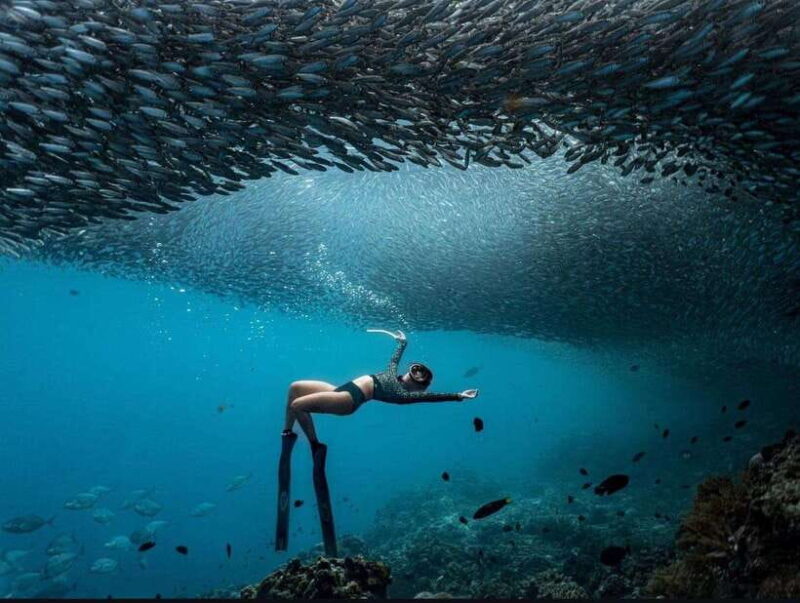 Tu experiencia en Tours y entradas para Napaling Reef