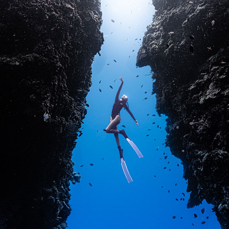 Freedive Academy Panglao