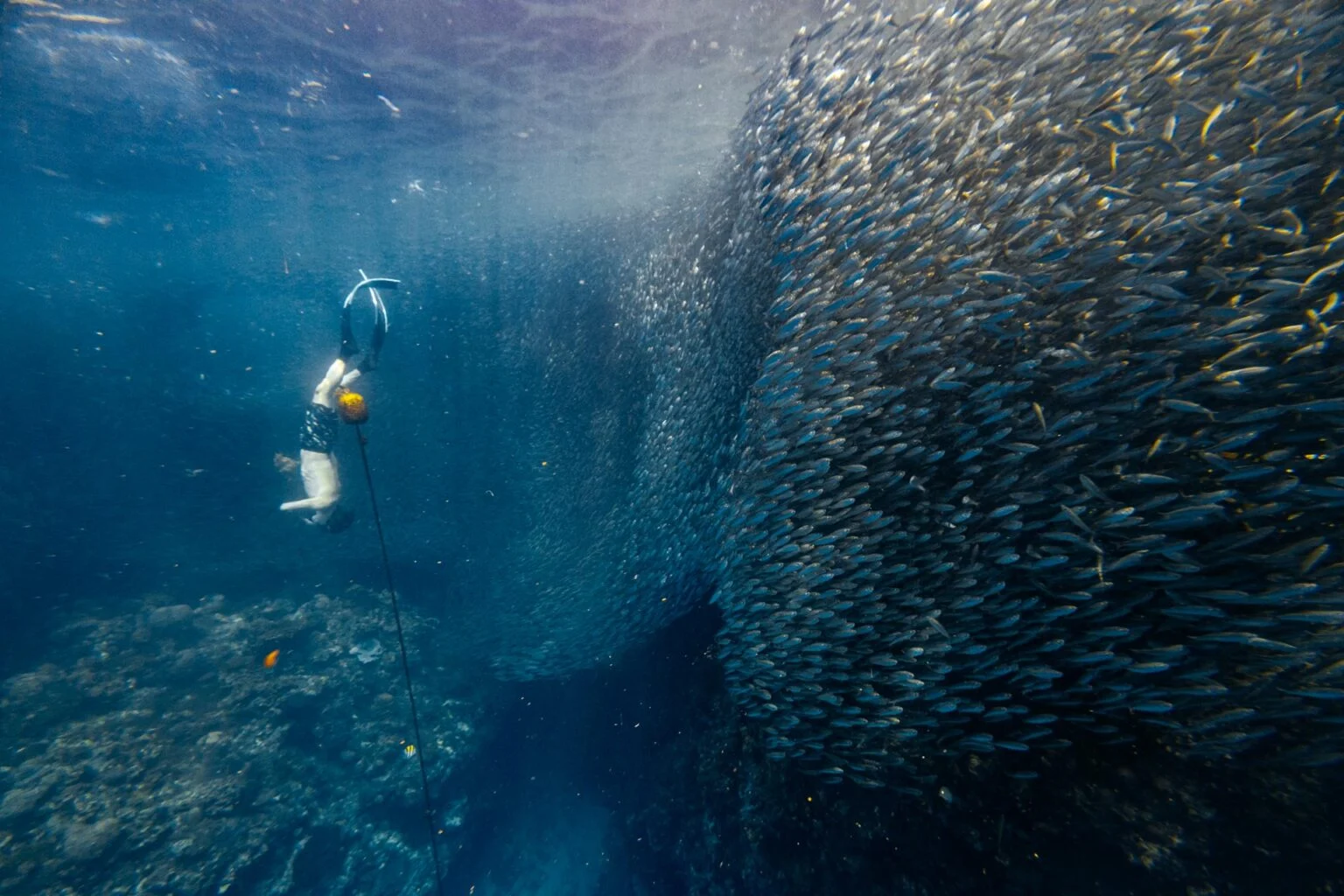 Napaling Reef Tours & Tickets