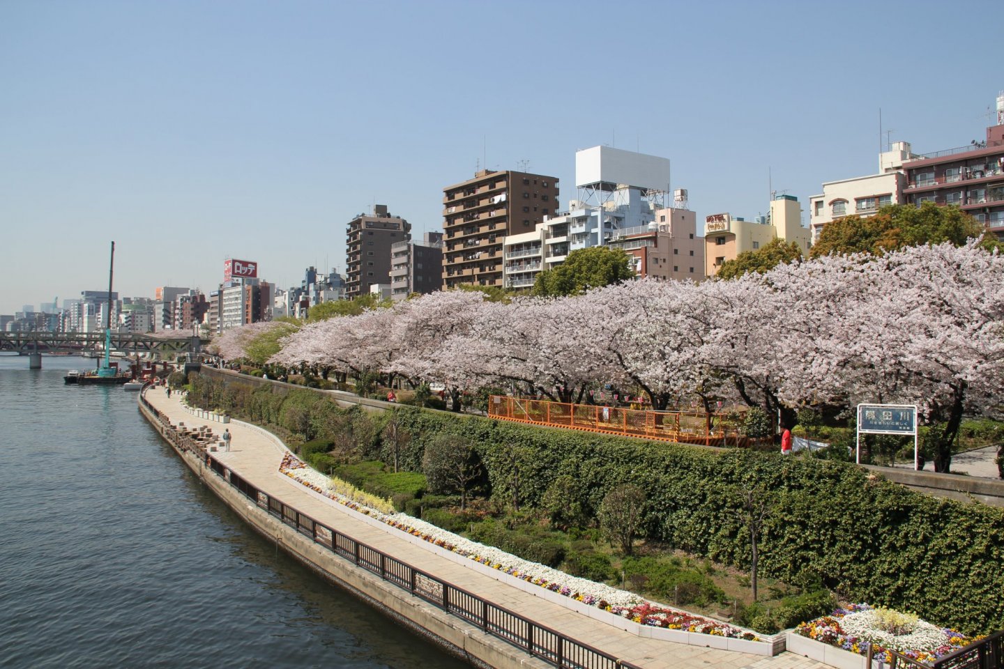 Sumida Park Terrace