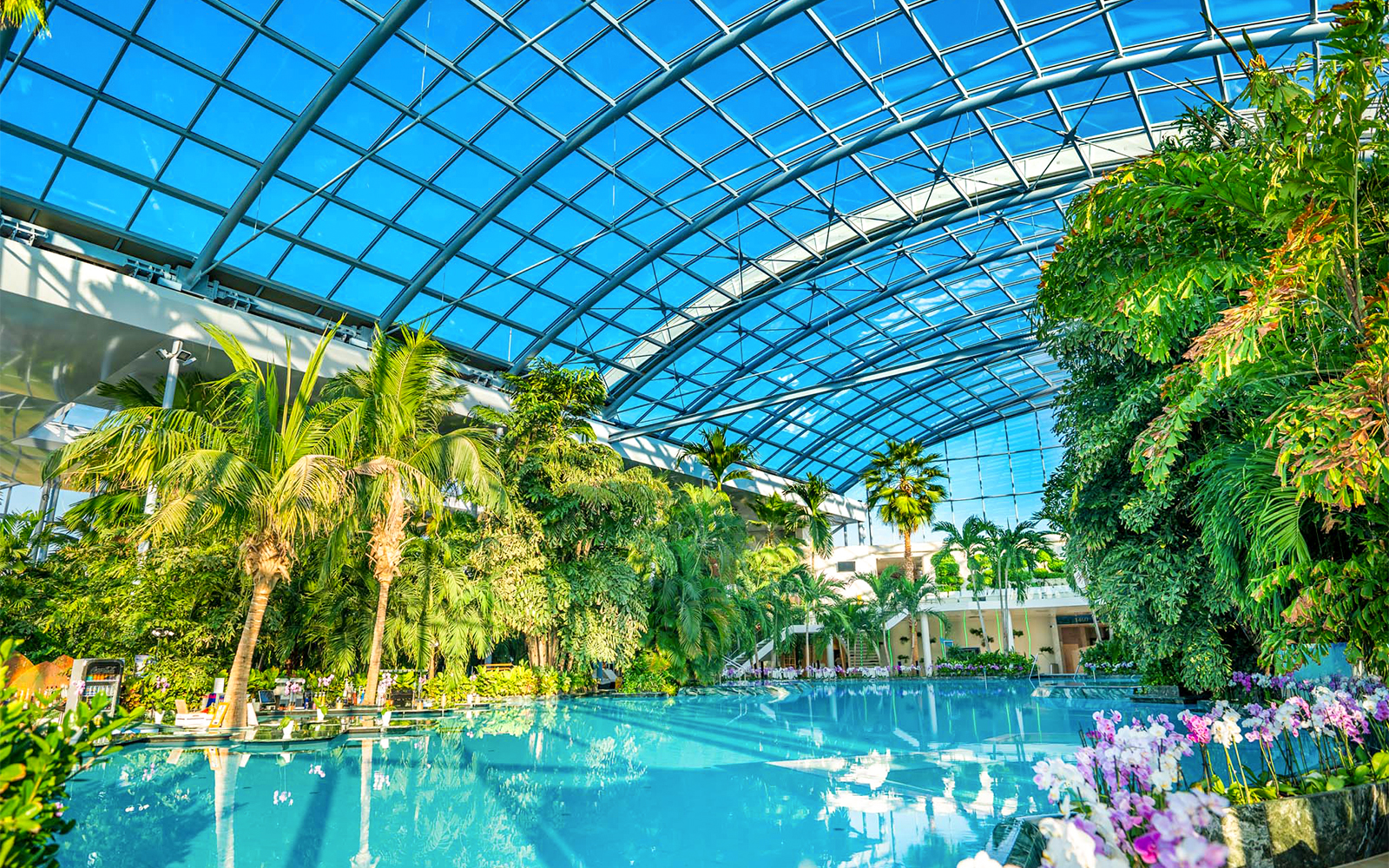 Jardim Botânico Interior — The Palm