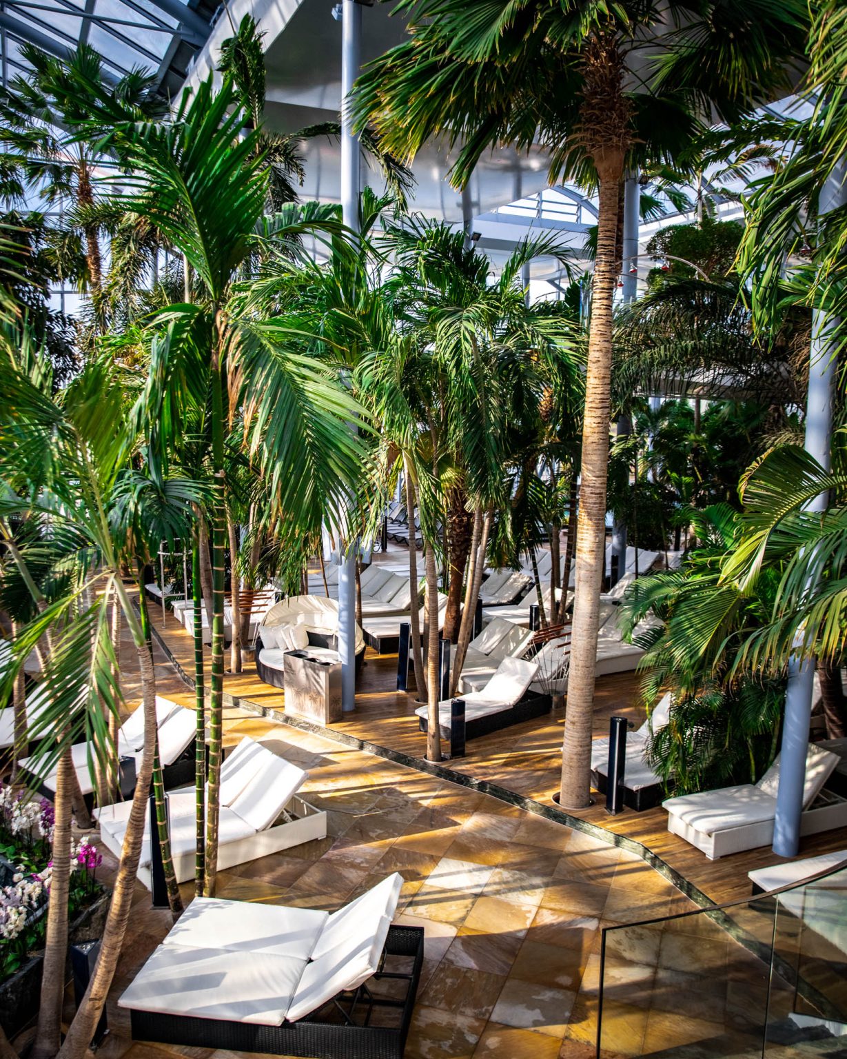 Indoor Botanical Garden — The Palm