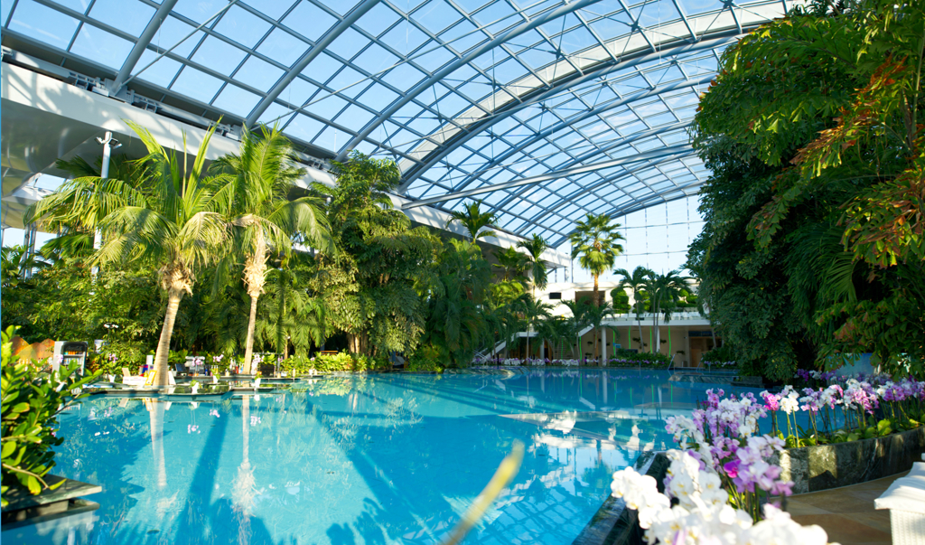The Palm — Mineral Pools & Garden