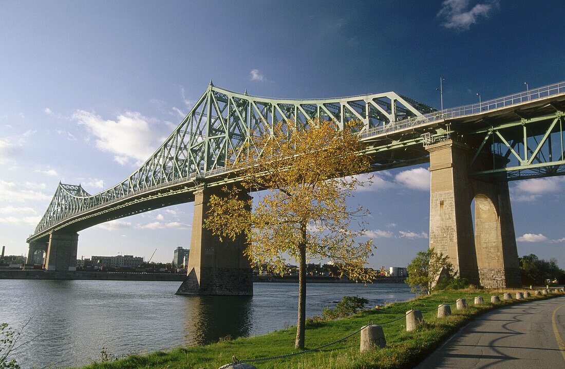 Jacques-Cartier Bridge Perspective