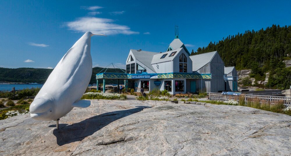 Marine Mammal Interpretation Centre