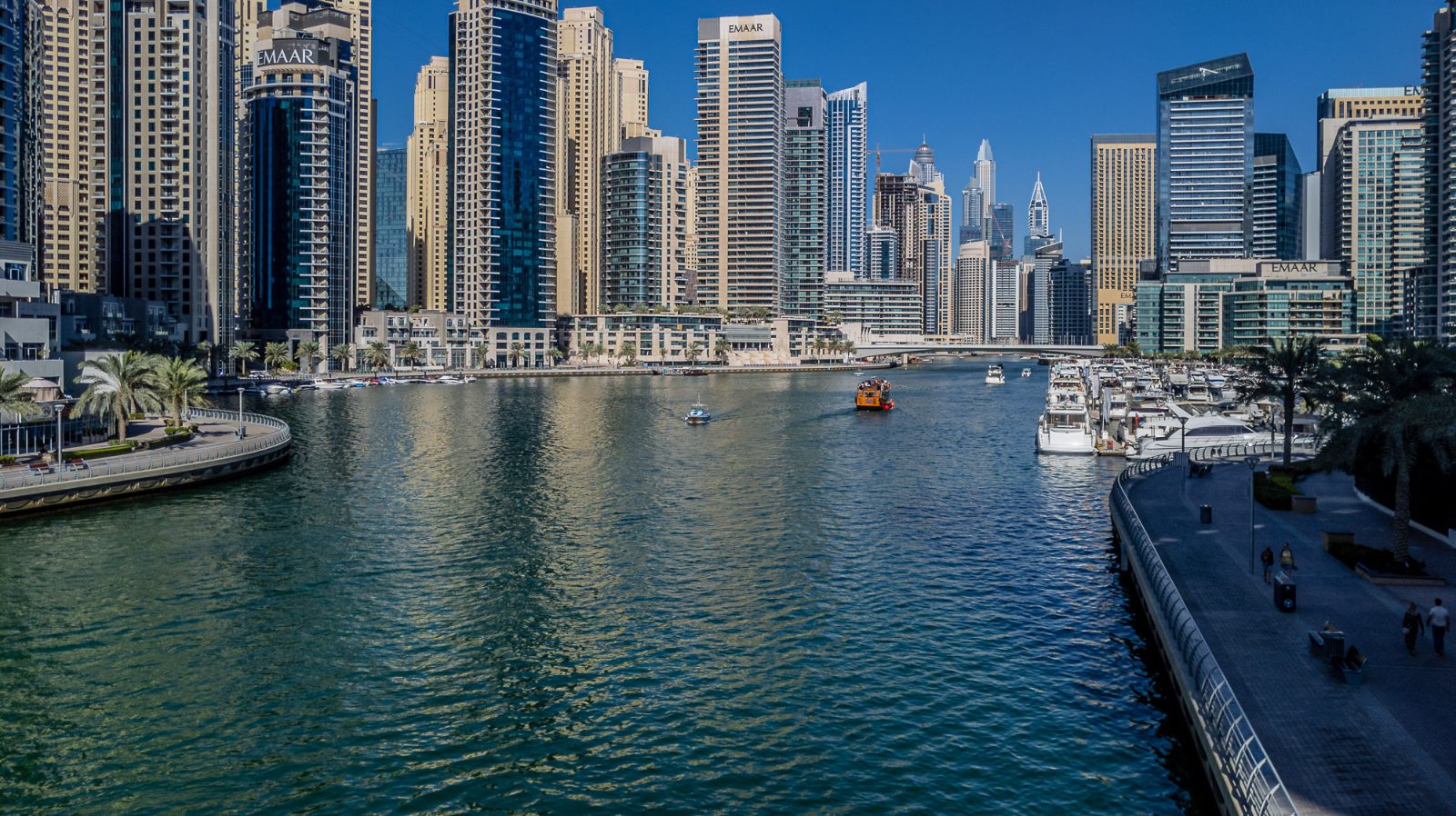 Marina Promenade Viewpoint