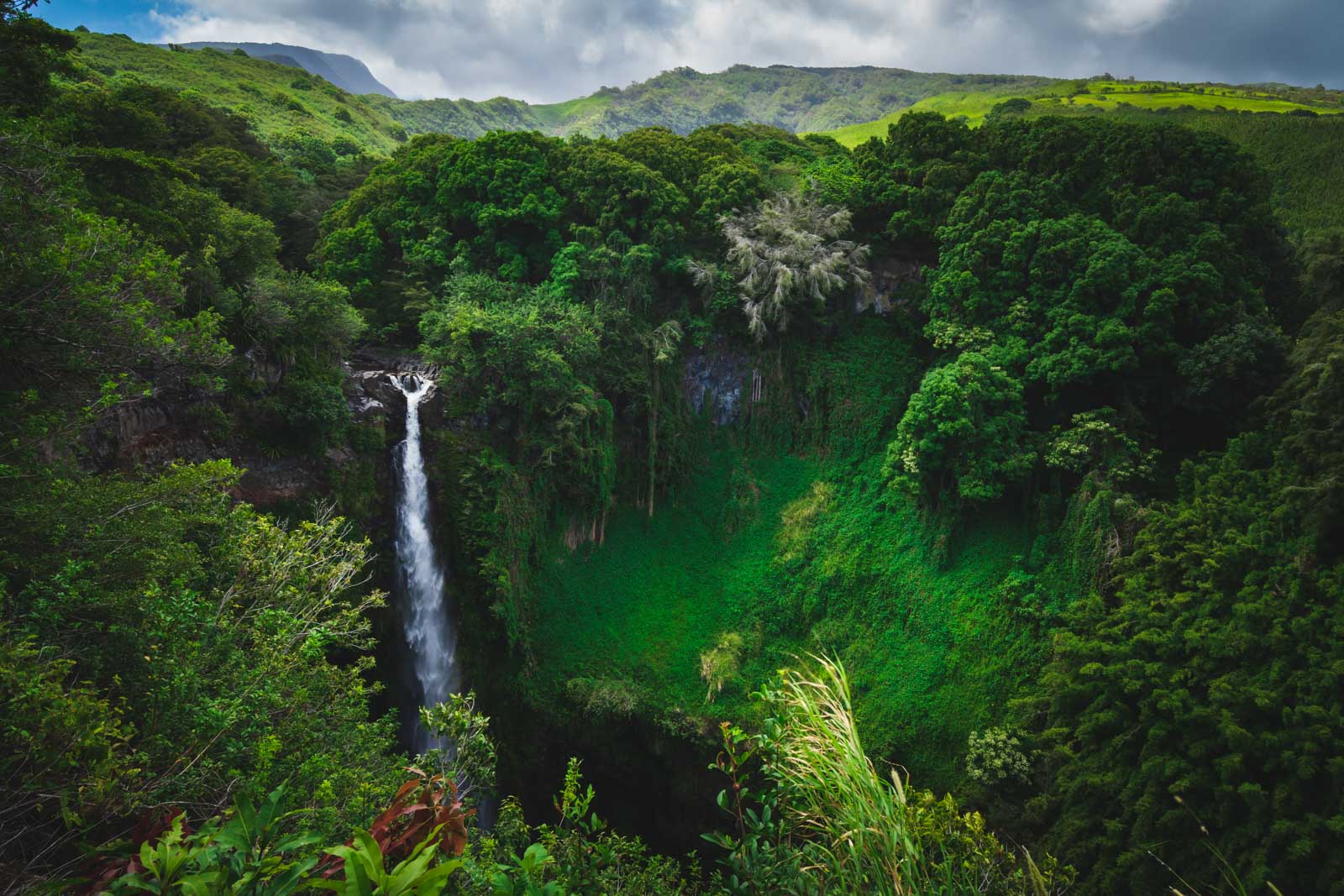 Hana Rainforest