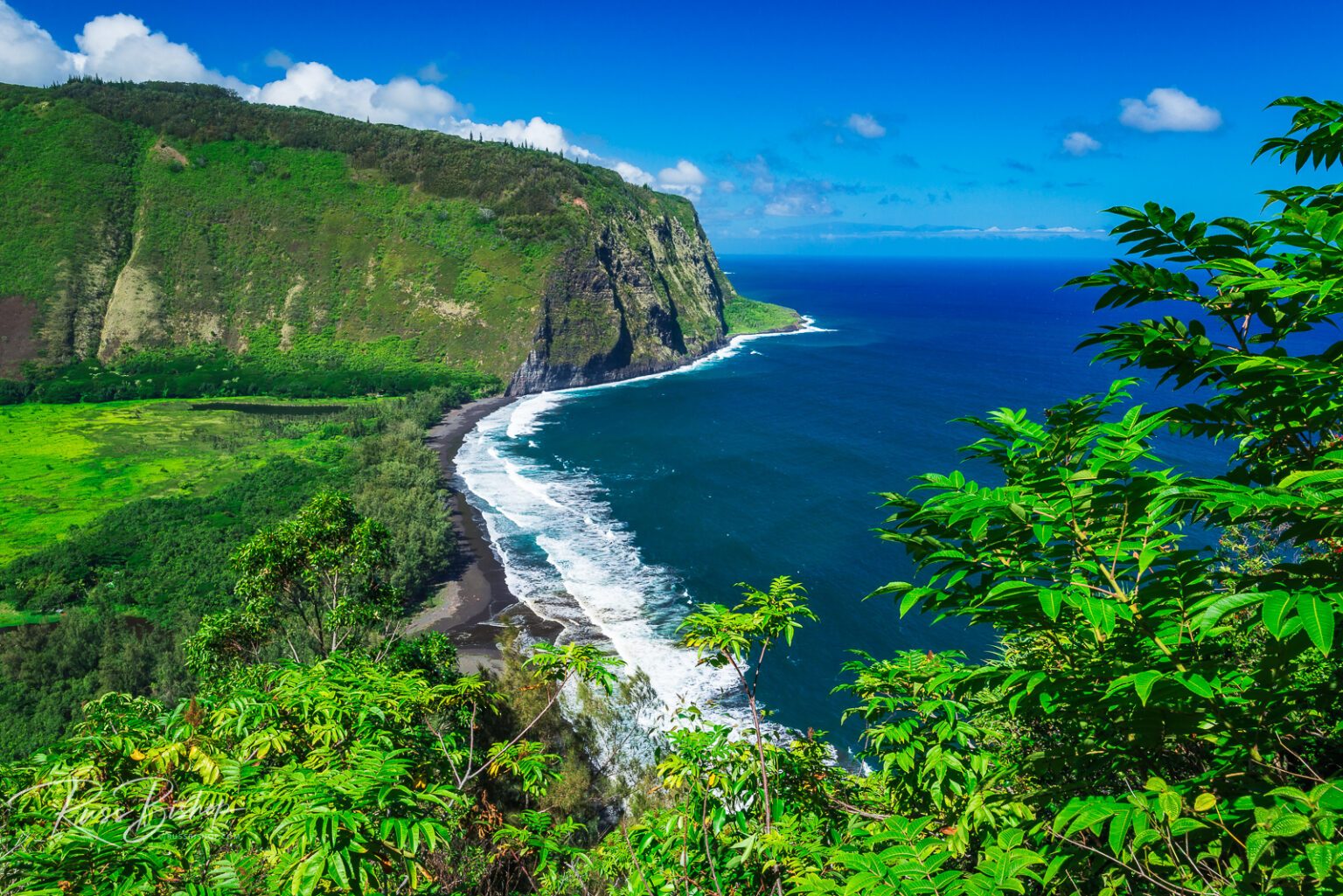 Big Island Sea Cliffs