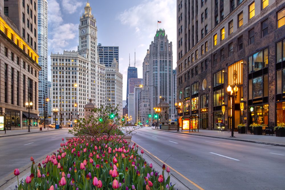 The Magnificent Mile