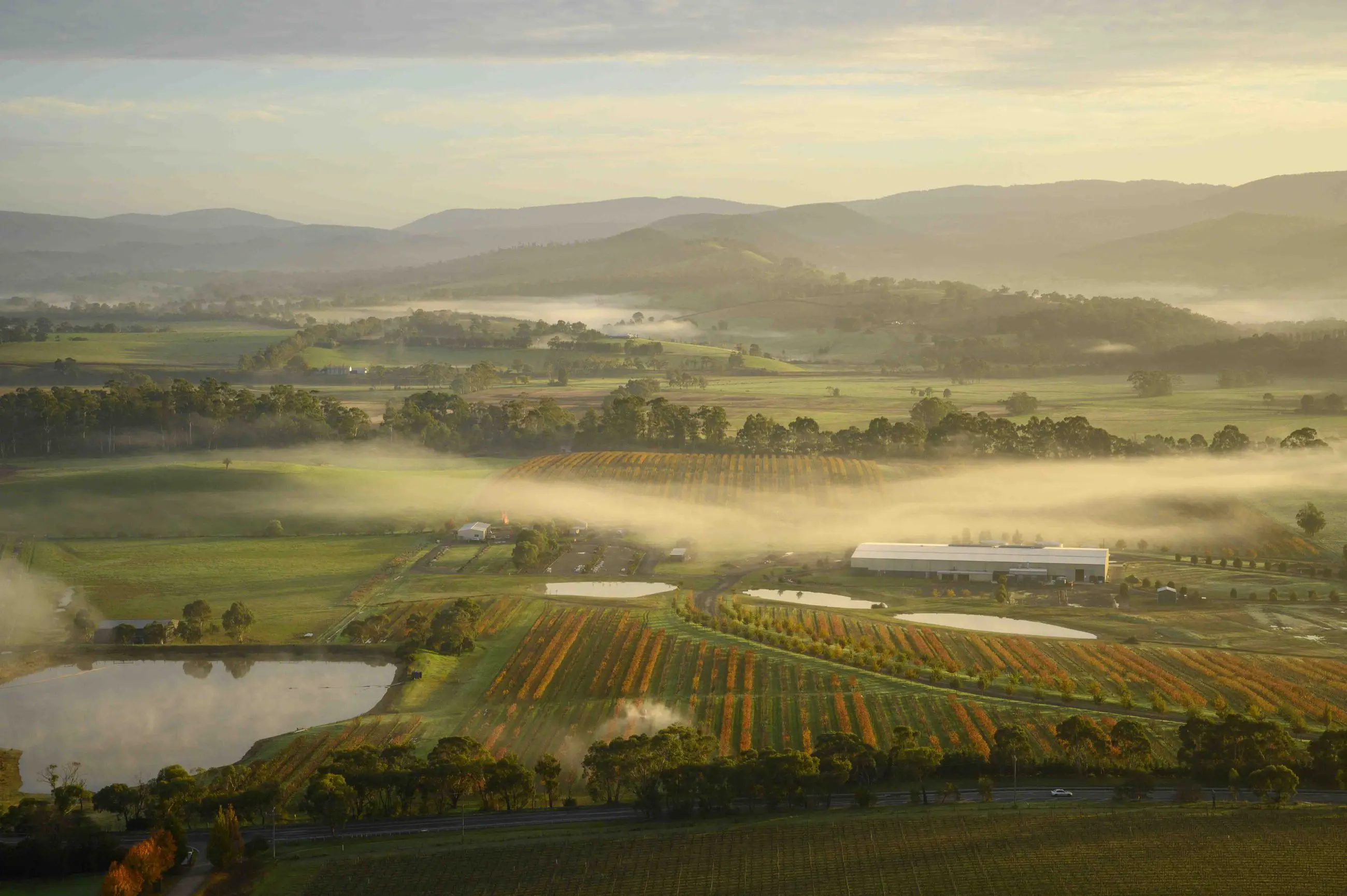 Yarra Valley Vineyards