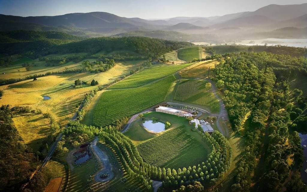 Yarra Valley vineyard blocks