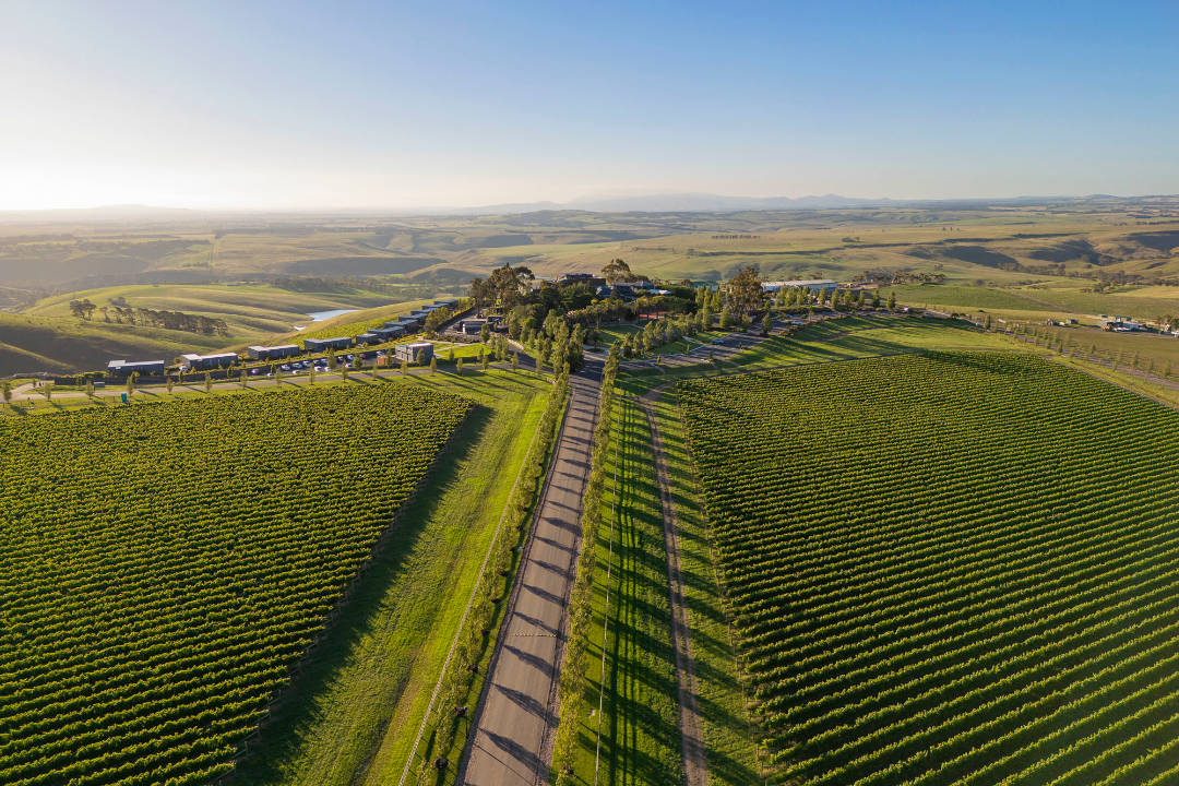 Marnong Estate