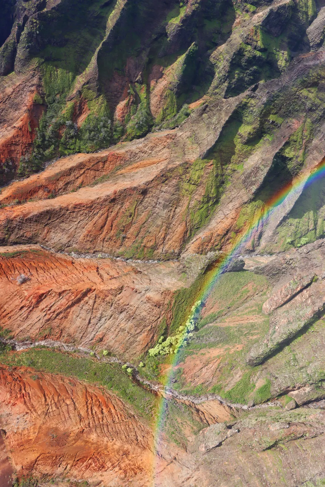 Waimea Canyon Rim