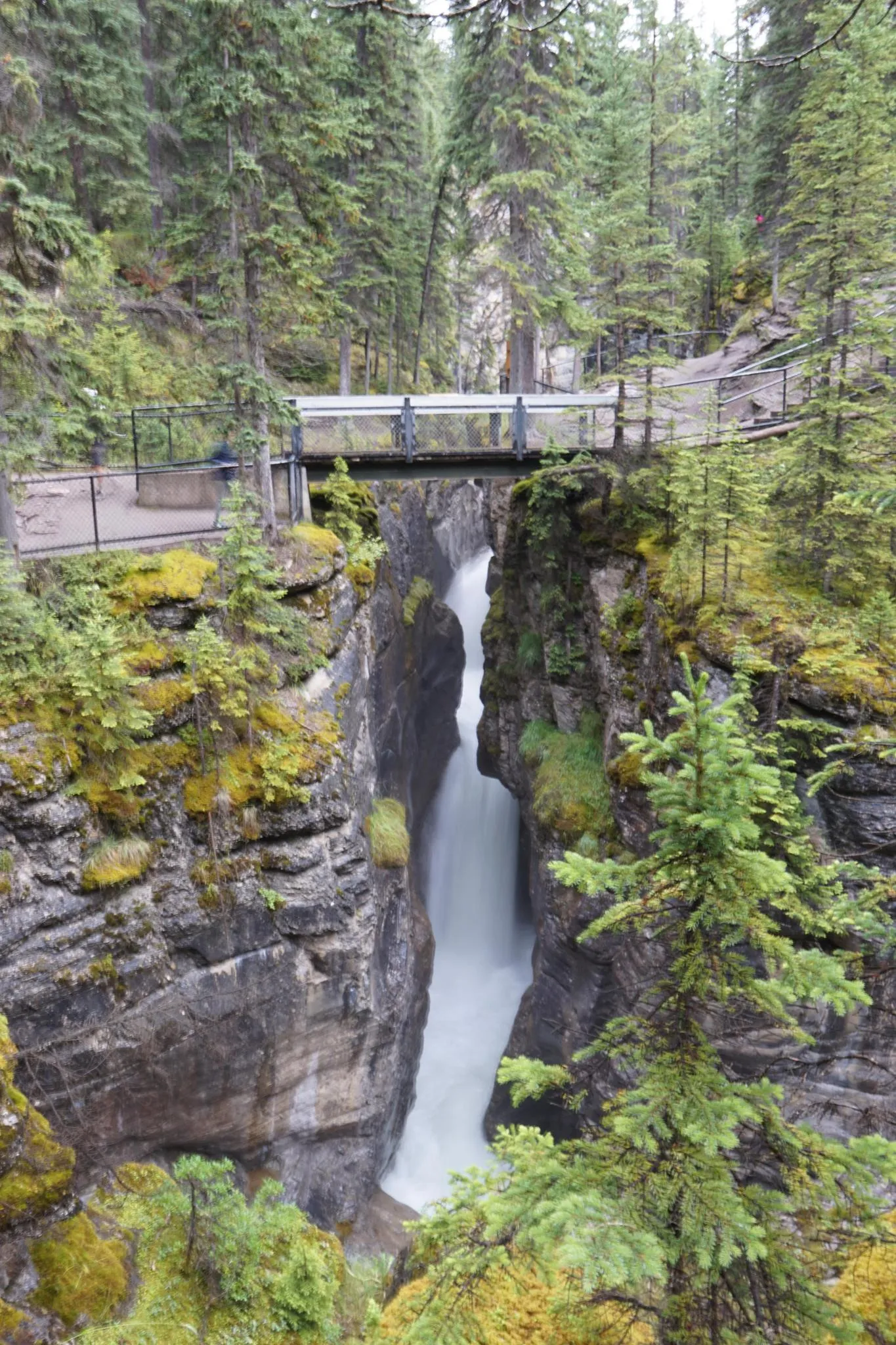 Maligne Canyon