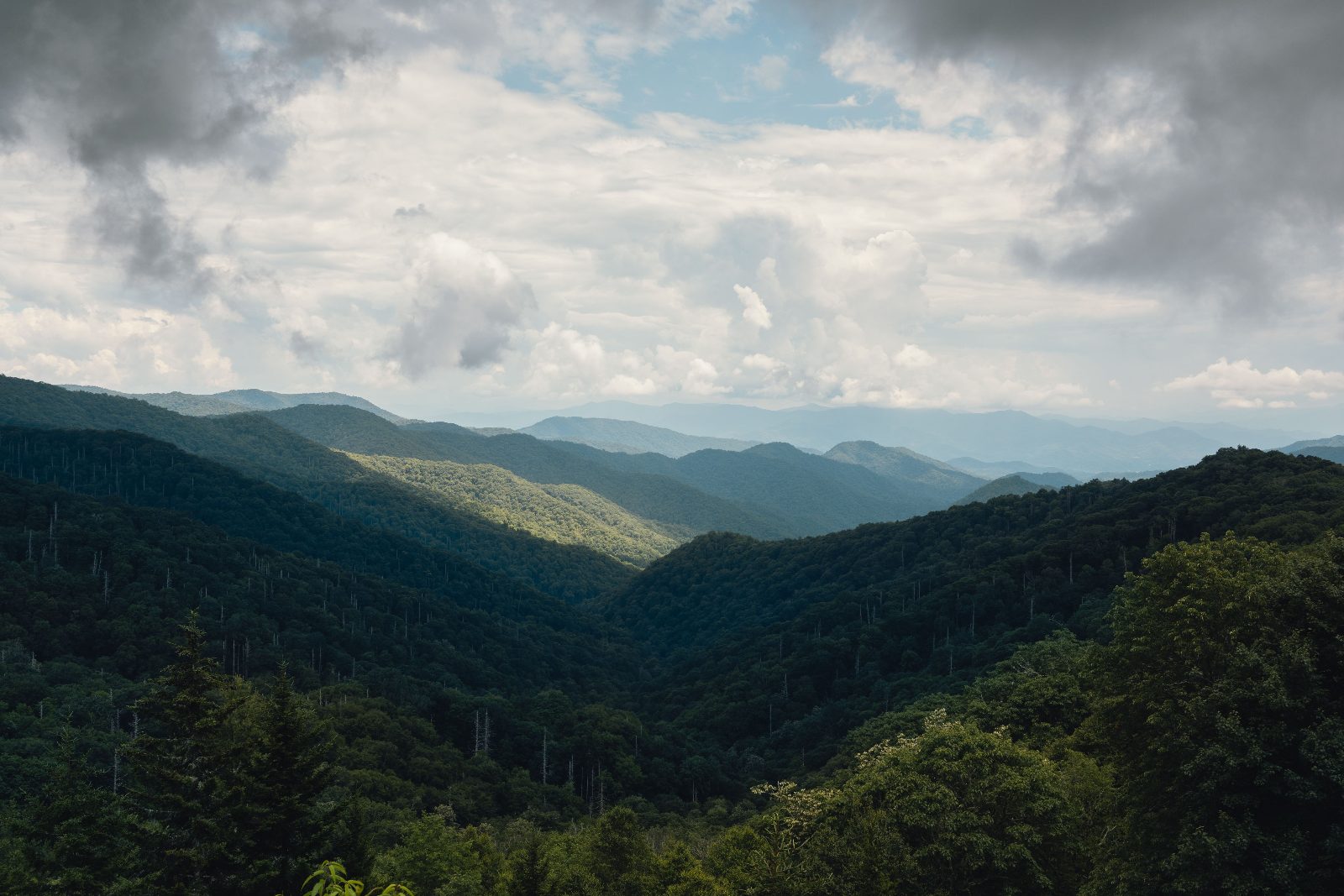 Great Smoky Mountains
