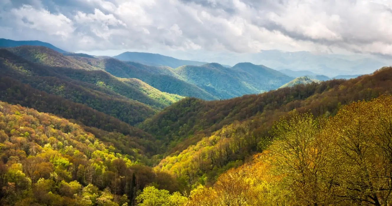 The Smoky Mountain Horizon