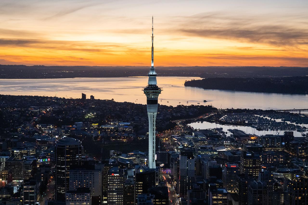 Sky Tower Vertical View