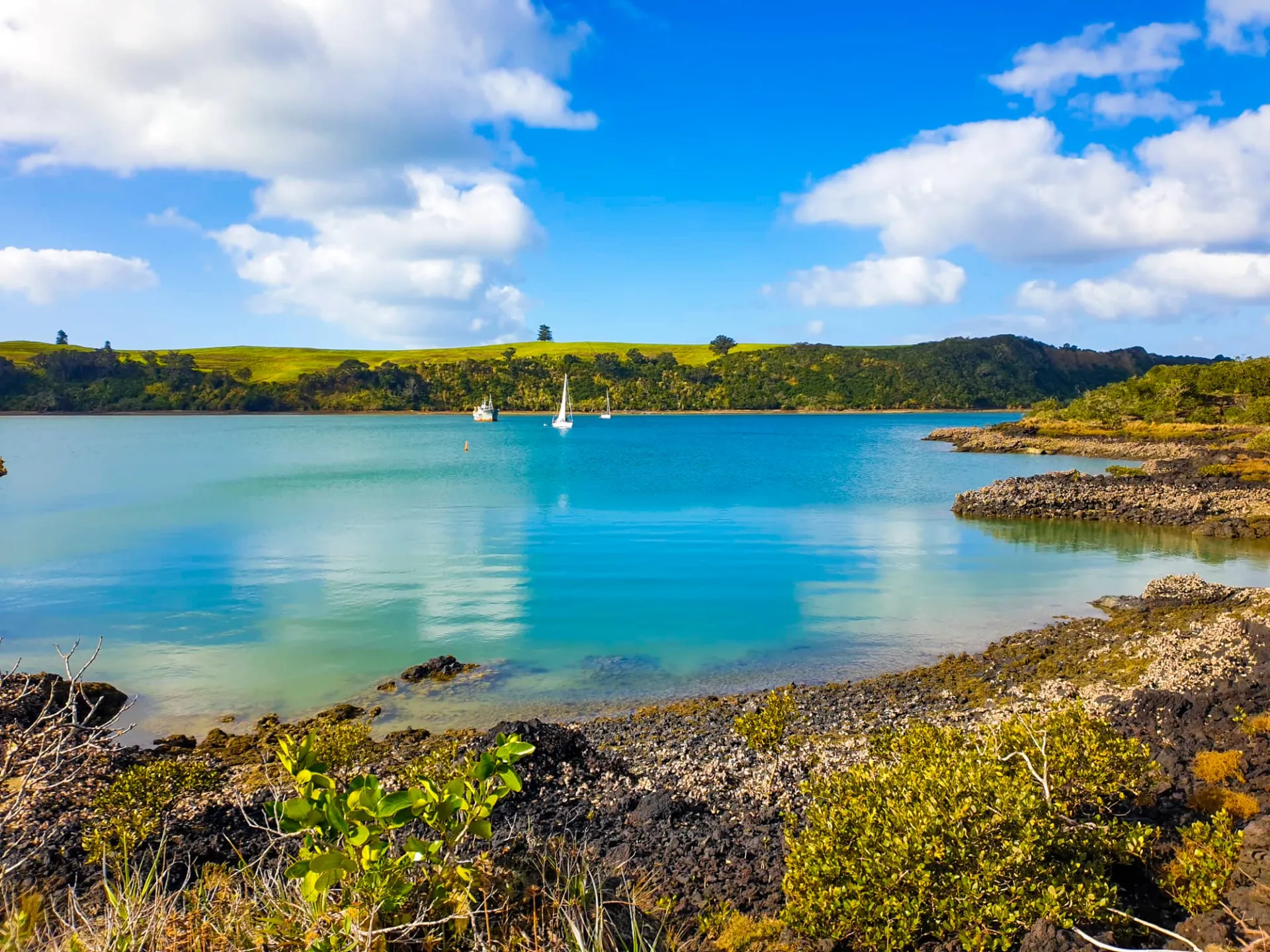 Rangitoto Island