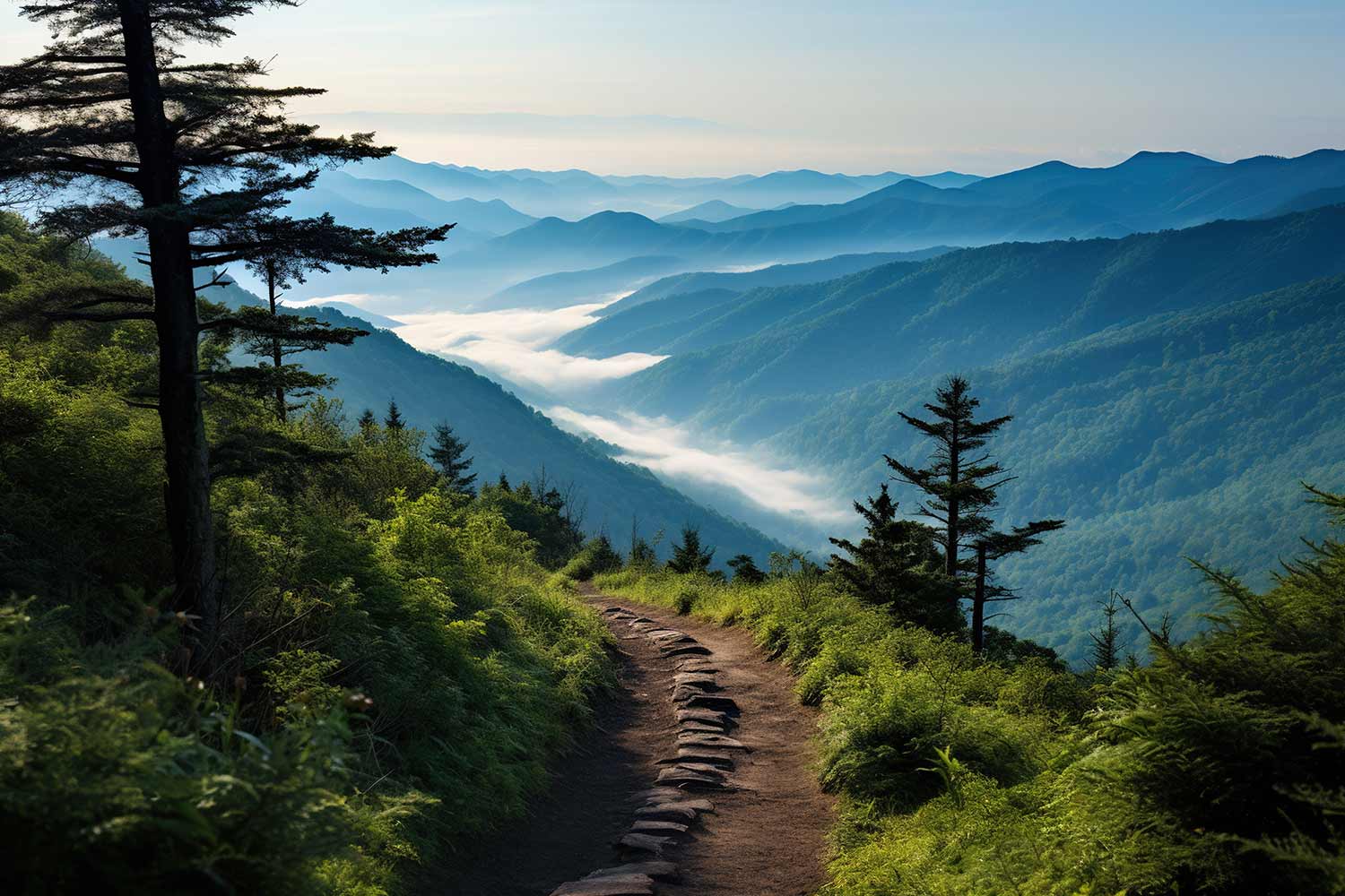 Mount LeConte view from helicopter