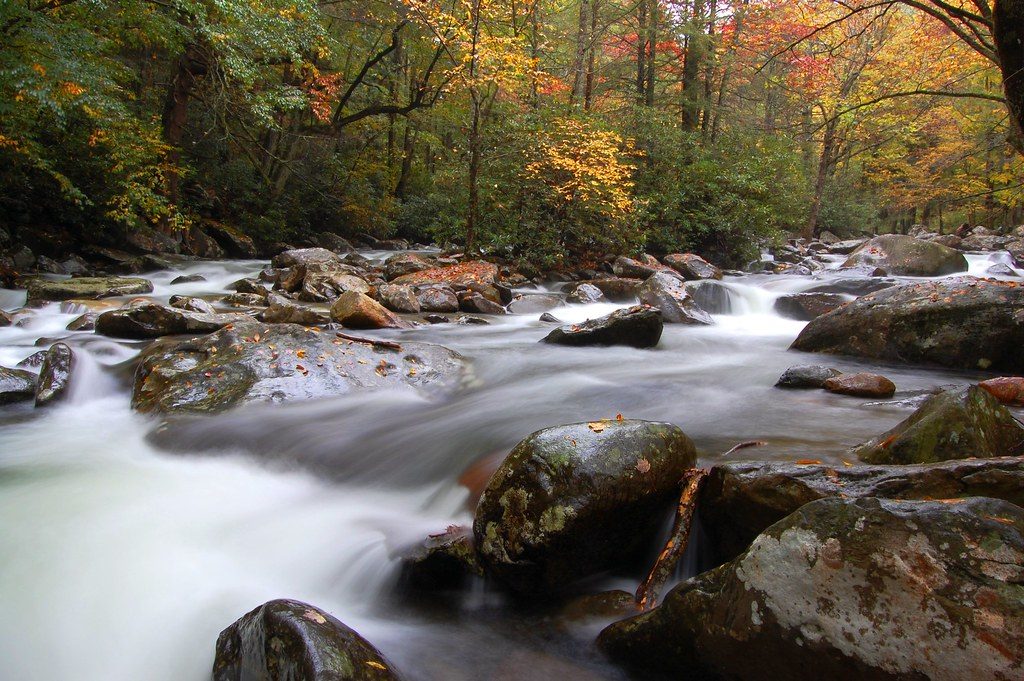 Little Pigeon River Valley