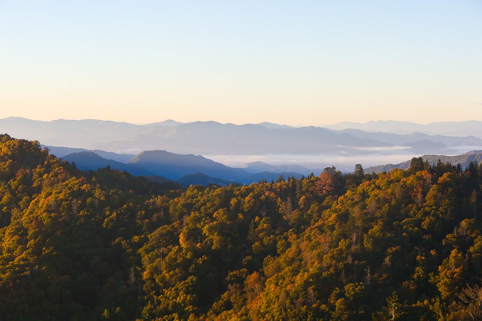 Newfound Gap Corridor
