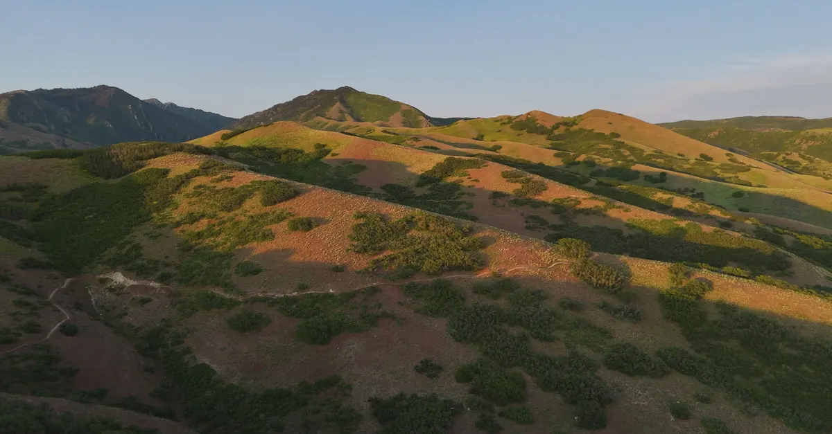 Mountain Foothills