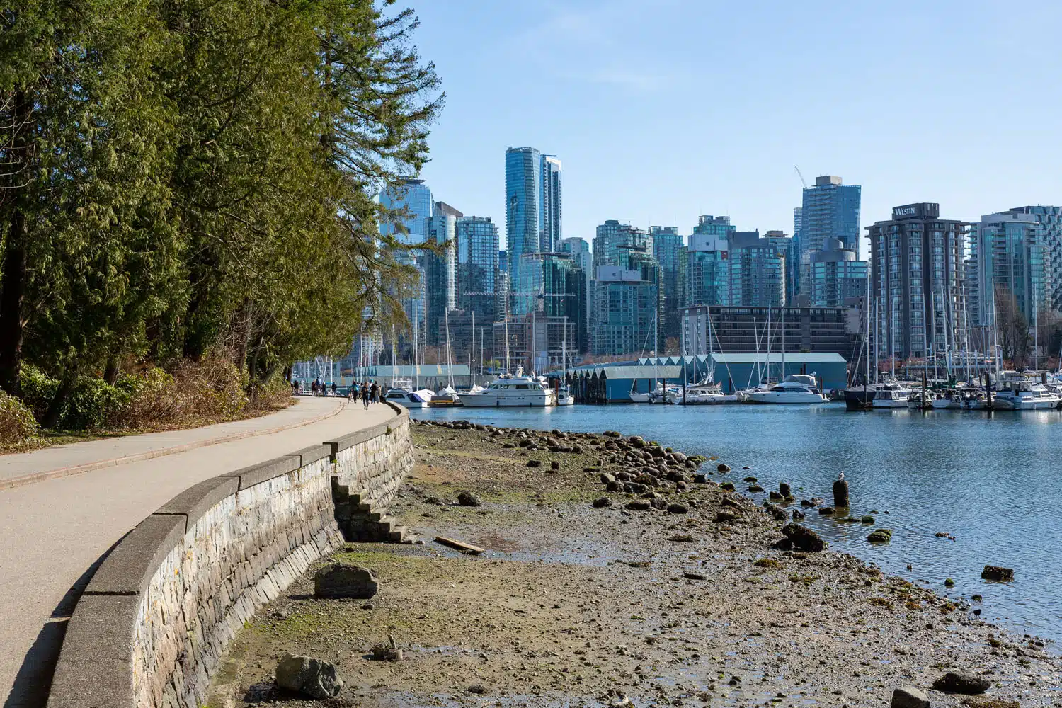 Coal Harbour Seawall