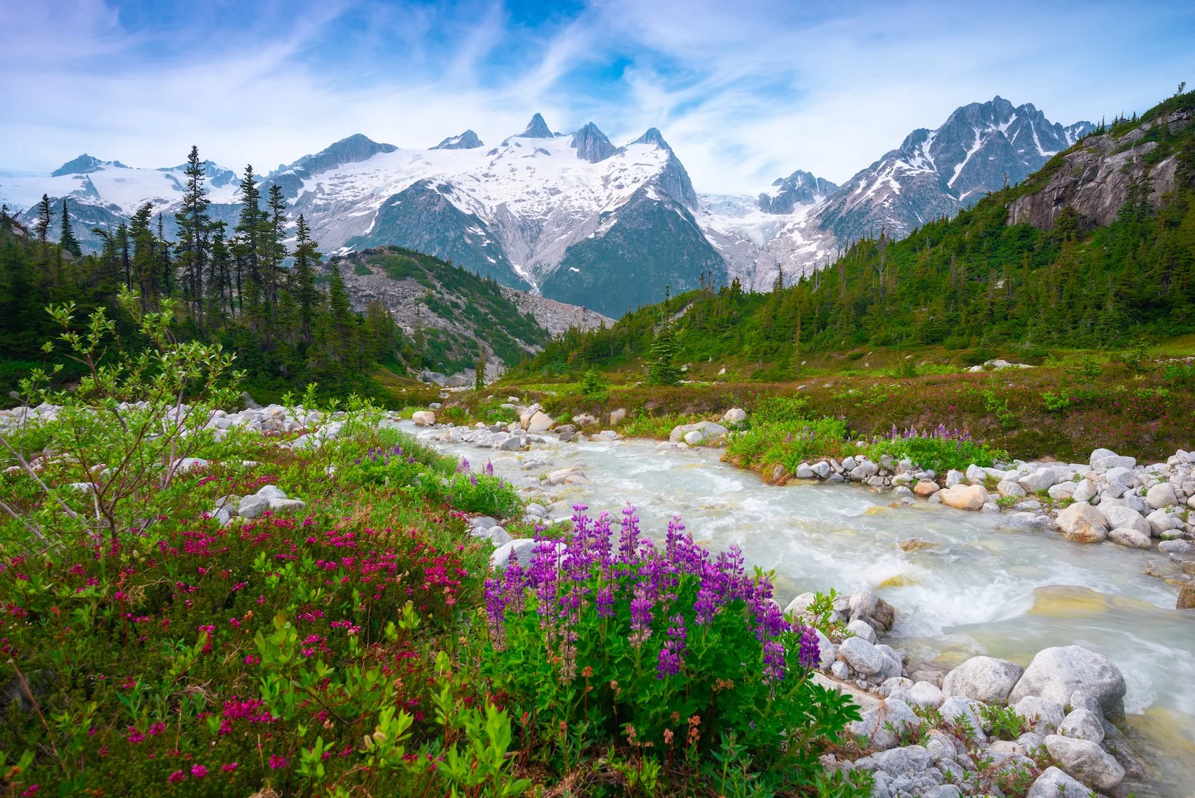 Coastal Mountains