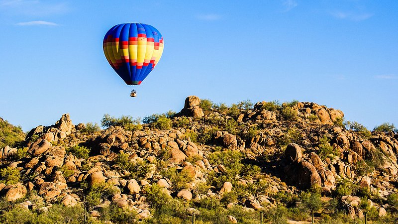 Sonoran Desert Horizon
