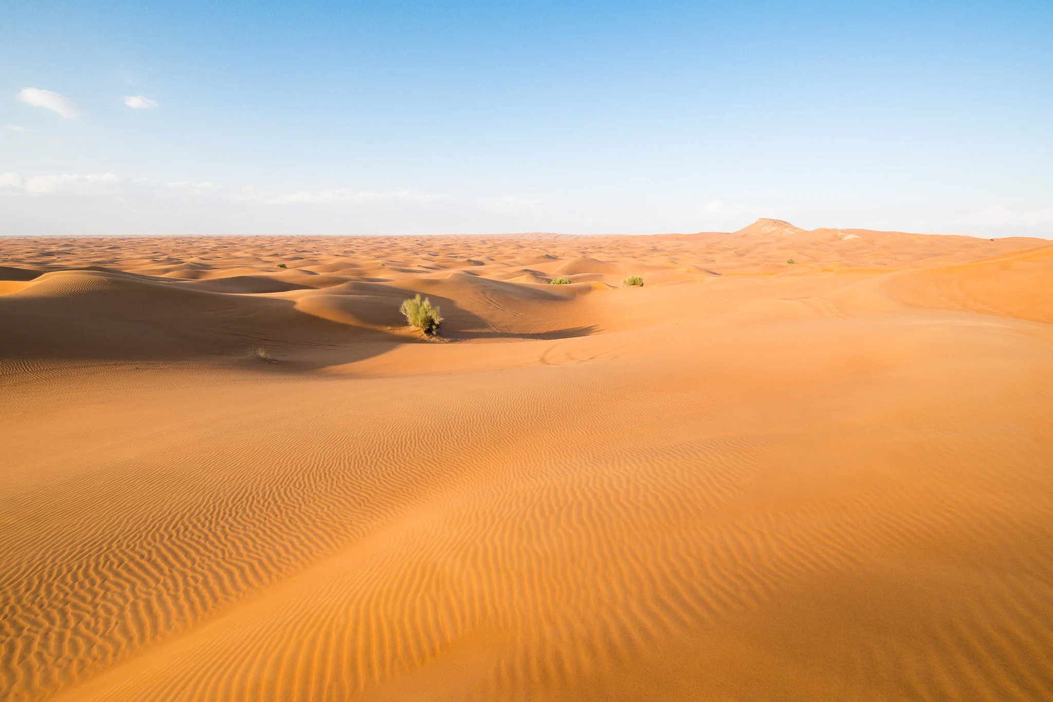 Dune Crest Observation Point