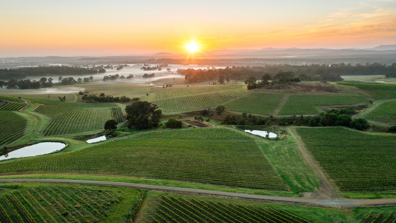 Vineyard Mist Perspective