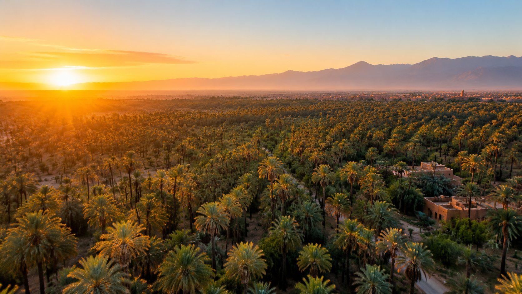 The Palmeraie Canopy