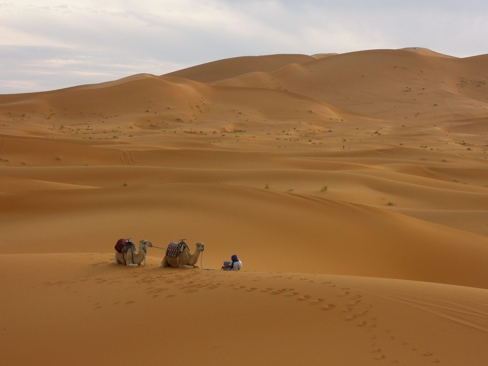 Traditional Desert Landing